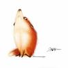 Kitsune17